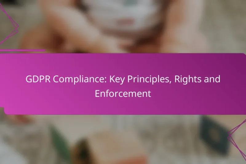 GDPR Compliance: Key Principles, Rights and Enforcement