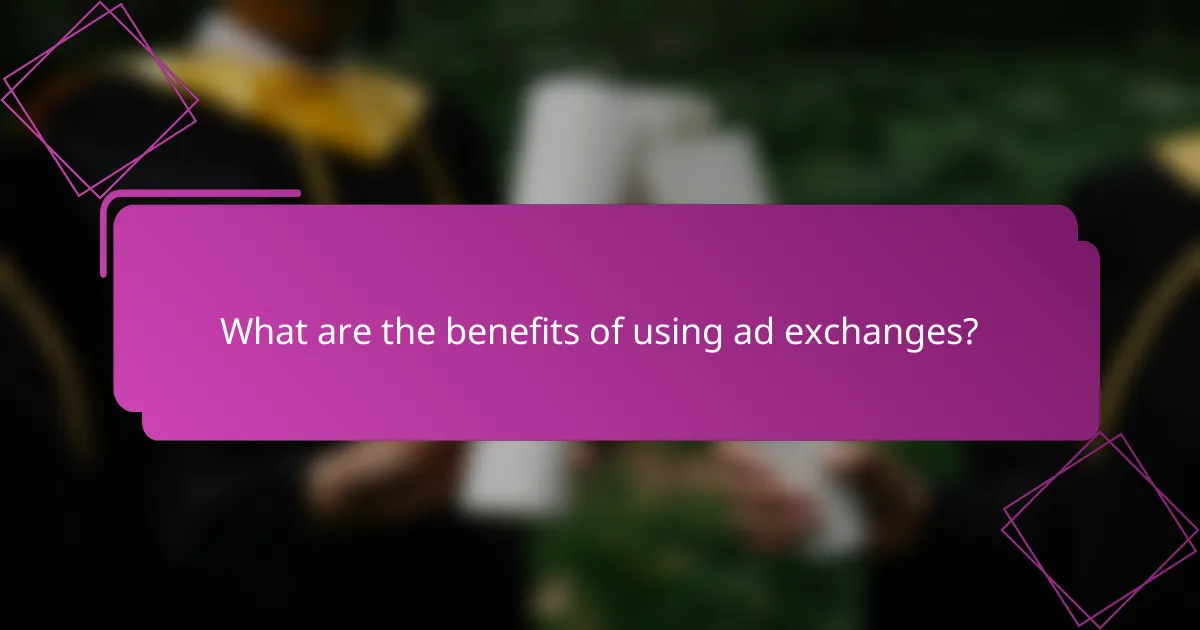 What are the benefits of using ad exchanges?